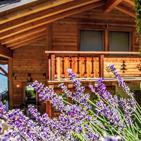 Aurore By Interhome *