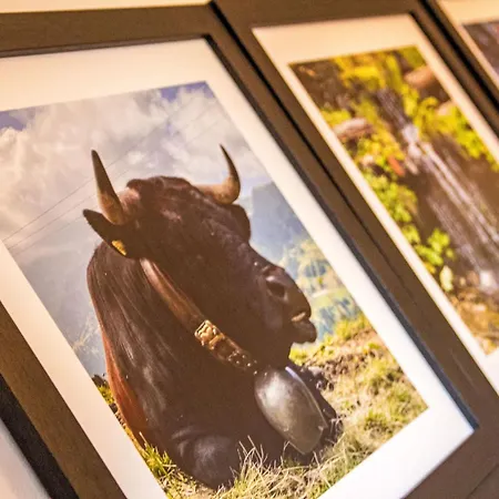 Chalet Aurore By Interhome